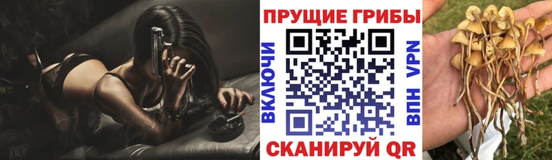 купить закладку  Зерноград  Галлюциногенные грибы ЛСД 