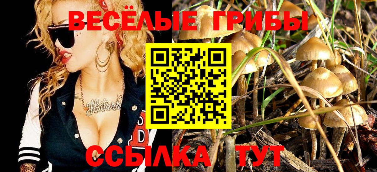 Галлюциногенные грибы Cubensis Зерноград