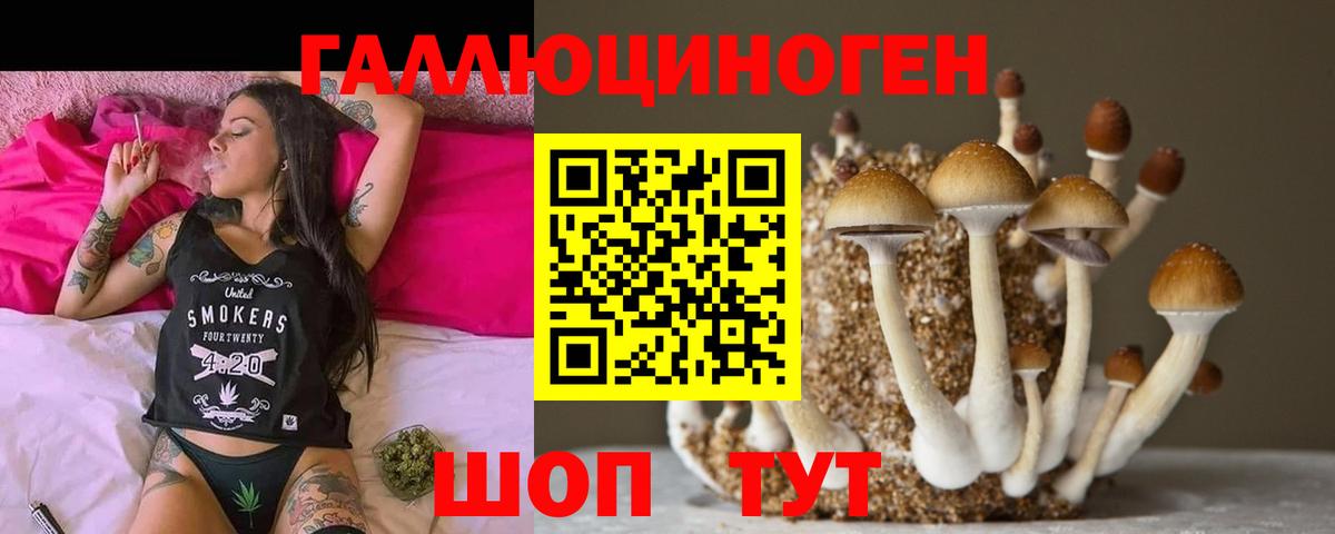 Псилоцибиновые грибы Cubensis  Вход с VPN  Зерноград  Галлюциногенные грибы Psilocybine cubensis 