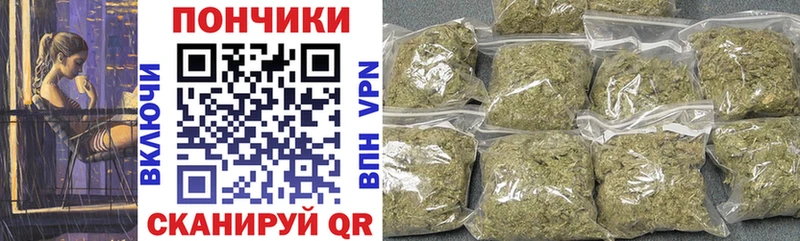где купить наркоту  Зерноград  Шишки марихуана план 
